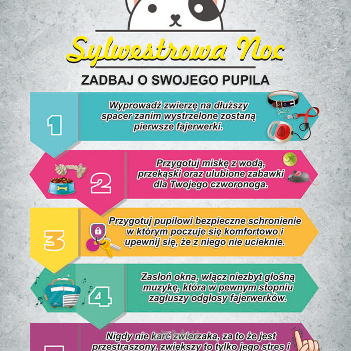 Bezpieczne Fajerwerki